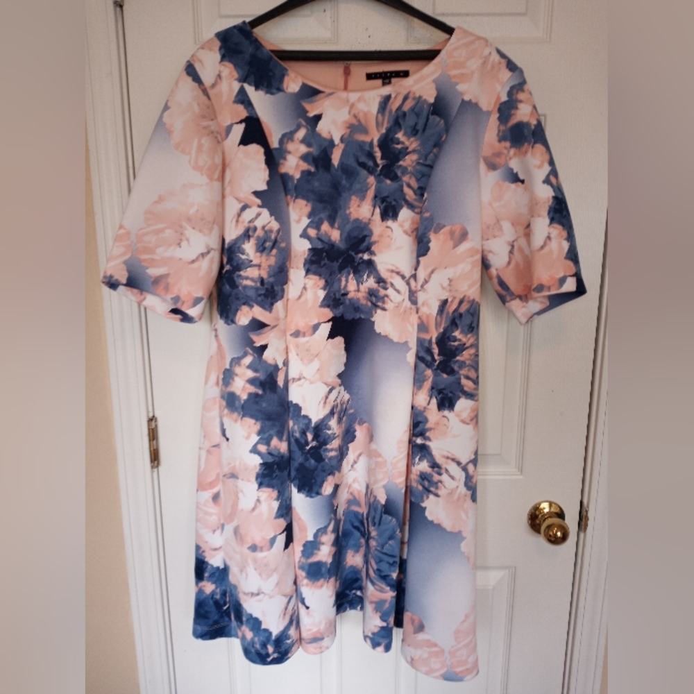 Tiana B Dress